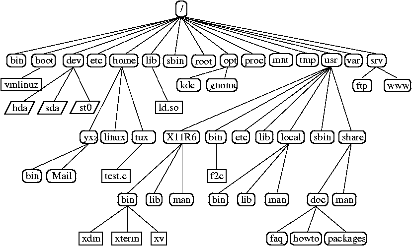 Excerpt from a Standard Directory Tree